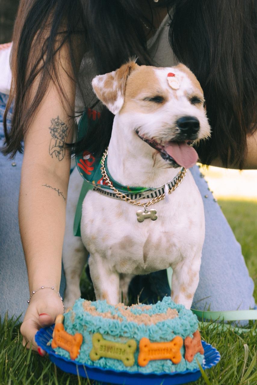 fizafatima — new content creator on Vicomma